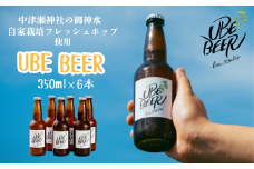 自慢 クラフトビール 宇部ビール 330ml × 6本 【山口県 宇部市 水 自家 栽培 フレッシュホップ 華やかな ホップ 香り すっきり 苦味 食事 宇部ビール 地ビール 瓶ビール 詰め合わせ  お酒 缶ビール ビール  BBQ 宅飲み 家飲み 晩酌 プレゼント ギフト 贈り物 内祝 結婚祝い お祝い お誕生日 御歳暮 御中元 父の日 母の日 】