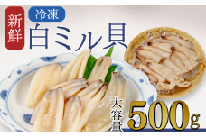 山口 宇部産 新鮮 白ミル貝 約500g【山口 宇部産 新鮮 白ミル貝 山口県 宇部市 鍋 新鮮 鮮魚 貝 魚介 シーフード 刺身 ソテー 揚げる 煮る おかず 産地直送 白 ミル貝 調理方法 美味しい】