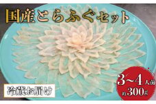 高級 活魚 繁光 国産 とらふぐ 特選 フク刺し セット3～4人前 （刺身 約300g・フクあら 約1～2匹分・ヒレ 約6枚・皮約75g・ポン酢 薬味付き）　【山口県 宇部市 極上 厳選 お鍋 雑炊 ヒレ酒  お手軽 魚 ポン酢 ふぐ刺し ふぐ フグ 刺身 】