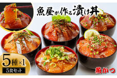 漬け丼 5種×1パック 計5食セット  | 漬け丼 海鮮 惣菜 冷凍 真空パック 小分け 海鮮丼 海鮮セット 詰め合わせ 旬の鮮魚 ハマチ カンパチ カツオ 鯖 サバ ヒラマサ 平政 マグロ アジ ヒラメ 鯛 漬け づけ丼 お茶漬け ごはん 山口県 宇部市