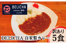 DELICHA オリジナルカレーセット（5食入り） 簡易包装