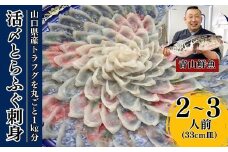 【北海道・東北・沖縄・離島配送不可／着日指定必須】2024年11月以降発送  活とらふぐ刺身  2～3人前 ふぐ 刺身 ふぐ刺し フグ トラフグ【活とらふぐ 刺身 トラフグ ふぐ刺し フグ ふぐ 刺身セット トラフグ刺身 ふぐ刺身 ふぐ 料理 山口県産 ふぐ刺し ポン酢 もみじおろし 長ネギ ふぐ鍋 ちり鍋 雑炊 ひれ酒 2024年発送】