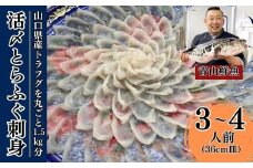 【北海道・東北・沖縄・離島配送不可／着日指定必須】2024年11月以降発送 活とらふぐ刺身  3～4人前 ふぐ 刺身 ふぐ刺し フグ トラフグ【活とらふぐ 刺身 トラフグ ふぐ刺し フグ ふぐ 刺身セット トラフグ刺身 ふぐ刺身 ふぐ 料理 山口県産 ふぐ刺し ポン酢 もみじおろし 長ネギ ふぐ鍋 ちり鍋 雑炊 ひれ酒 2024年発送】