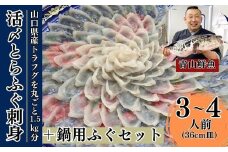 【北海道・東北・沖縄・離島配送不可／着日指定必須】2024年11月以降発送 活とらふぐ刺身 鍋用ふぐセット 3～4人前 ふぐ 刺身 ふぐ刺し フグ トラフグ【活とらふぐ 刺身 鍋用ふぐセット トラフグ ふぐ刺し フグ ふぐ刺身 ふぐ 料理 山口県産 トラフグ刺身 ふぐ刺し ポン酢 もみじおろし 長ネギ ちり鍋 雑炊 ひれ酒 ふぐあら 2024年発送】