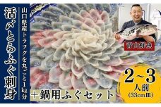 【北海道・東北・沖縄・離島配送不可／着日指定必須】2024年11月以降発送 活とらふぐ刺身 鍋用ふぐセット 2～3人前 ふぐ 刺身 ふぐ刺し フグ トラフグ【活とらふぐ 刺身 鍋用ふぐセット トラフグ ふぐ刺し フグ ふぐ刺身 ふぐ 料理 山口県産 トラフグ刺身 ふぐ刺し ポン酢 もみじおろし 長ネギ ちり鍋 雑炊 ひれ酒 ふぐあら 2024年発送】