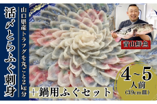【北海道・東北・沖縄・離島配送不可／着日指定必須】2025年11月以降発送 活とらふぐ刺身 鍋用ふぐセット 4～5人前 ふぐ 刺身 ふぐ刺し フグ トラフグ【活とらふぐ 刺身 鍋用ふぐセット トラフグ ふぐ刺し フグ ふぐ刺身 ふぐ 料理 山口県産 トラフグ刺身 ふぐ刺し ポン酢 もみじおろし 長ネギ ちり鍋 雑炊 ひれ酒 ふぐあら 2025年発送】