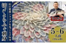 【北海道・東北・沖縄・離島配送不可／着日指定必須】2024年11月以降発送 活とらふぐ刺身  5～6人前 ふぐ 刺身 ふぐ刺し フグ トラフグ【活とらふぐ 刺身 トラフグ ふぐ刺し フグ ふぐ 刺身セット トラフグ刺身 ふぐ刺身 ふぐ 料理 山口県産 ふぐ刺し ポン酢 もみじおろし 長ネギ ふぐ鍋 ちり鍋 雑炊 ひれ酒 2024年発送】