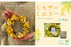 ミモザのミニリース 約18cmサイズ【ミモザ ミニリース プレゼント 花 手作り アレンジメント ドライフラワー プリザーブドフラワー インテリア 贈り物 ギフト 山口県 宇部市 花言葉 感謝 思いやり 感受性】