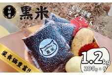 宇部市産 黒米 200g × 6袋 [合計1.2kg] 【黒米 山口県産 宇部市 おくのむらさき 天日干し 手植え米 健康食材 米 ご飯 霜降山 自然農法 美味しい黒米 栄養豊富 モチモチ黒米 和食用米 雑穀ご飯 雑穀米 美容米 お取り寄せ米】