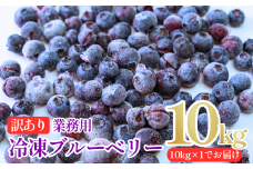 【訳あり】 山口県宇部産 お得サイズ！業務用冷凍ブルーベリー 10kg | 冷凍ブルーベリー 冷凍 果物 フルーツ スムージー 10kg 10キロ ブルーベリー 完熟  急速  新鮮 アントシアニン 甘み 酸味 バランス 食べやすい おやつ デザート フルーツ 果実 くだもの 訳あり  山口県 宇部市
