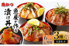 【6ヶ月 定期便】漬け丼 3種×2パック 計6食セット | 漬け丼 定期便 海鮮 惣菜 冷凍 真空パック 小分け 海鮮丼 海鮮セット 詰め合わせ 旬の鮮魚 ハマチ カンパチ カツオ 鯖 サバ ヒラマサ 平政 マグロ アジ ヒラメ 鯛 漬け づけ丼 お茶漬け ごはん 山口県 宇部市