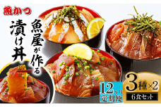 【12ヶ月 定期便】漬け丼 3種×2パック 計6食セット | 漬け丼 定期便 海鮮 惣菜 冷凍 真空パック 小分け 海鮮丼 海鮮セット 詰め合わせ 旬の鮮魚 ハマチ カンパチ カツオ 鯖 サバ ヒラマサ 平政 マグロ アジ ヒラメ 鯛 漬け づけ丼 お茶漬け ごはん 山口県 宇部市