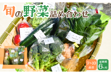 【6ヶ月定期便】新鮮野菜の産直 7～10品目 ＜楠こもれびの郷「楠四季菜市」＞【新鮮野菜 宇部市産 季節野菜 詰合せ 直送 野菜セット 旬の野菜 地元産 新鮮食品 野菜ボックス】