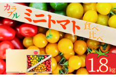 【まこっこ農園】食べることが楽しくなる、カラフルミニトマト！ 約1.8kg (3~5種入り) 【カラフルミニトマト ミニトマトセット トマト詰め合わせ 食べ比べトマト とまと 約1.8kg 甘いトマト 新鮮野菜 産地直送 山水育ち 初夏の味覚 個性派トマト お取り寄せ野菜 トマトギフト サラダ用トマト 彩り野菜 フレッシュトマト 健康野菜 家庭用野菜 季節の野菜】