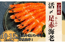 【活き〆】冷凍 足赤えび 500g　【えび エビ 海老 足赤えび 足赤エビ 足赤海老 クマエビ 海鮮 冷凍 急速冷凍 宇部産 茹でえび エビフライ 塩焼 天ぷら お鍋 鮮度抜群 海の幸 簡単調理 プリプリ食感】