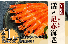 【活き〆】冷凍 足赤えび 500g ×2 パック【えび エビ 海老 足赤えび 足赤エビ 足赤海老 クマエビ 海鮮 冷凍 急速冷凍 宇部産 茹でえび エビフライ 塩焼 天ぷら お鍋 鮮度抜群 海の幸 簡単調理 プリプリ食感】