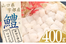 【宇部産】ハモ 400g 【一口サイズ】【ハモ はも 鱧 山口県産 宇部産 山口県宇部産 鮮魚 魚 処理済み 骨切り 湯引き 天ぷら 鍋 鍋料理 料理 大容量 一口サイズ 贈呈品 贈り物 返礼品】