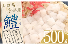 【宇部産】ハモ 500g 【一口サイズ】【ハモ はも 鱧 山口県産 宇部産 山口県宇部産 鮮魚 魚 処理済み 骨切り 湯引き 天ぷら 鍋 鍋料理 料理 大容量 一口サイズ 贈呈品 贈り物 返礼品】