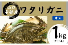 【先行予約】【北海道・東北・沖縄・離島配送不可／着日指定必須】ワタリガニ [オス] 1kg(2～5尾)【山口県 宇部市 鍋 パスタ 味噌汁 カニ 超 新鮮 ゆでる 蟹 かに 蟹みそ 醤油漬け  料理 お祝い 魚介】