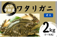 【先行予約】【北海道・東北・沖縄・離島配送不可／着日指定必須】ワタリガニ [オス] 2kg(5～10尾)【山口県 宇部市 鍋 パスタ 味噌汁 カニ 超 新鮮 ゆでる 蟹 かに 蟹みそ 醤油漬け  料理 お祝い 魚介】