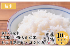 令和7年産米 宇部市小野『大山産米』　精米10kg　【米 お米 精米 国産米 山口県産 米 宇部市産 米 大山 米 ご飯 コメ ごはん ふっくら】