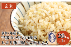 令和7年産米 宇部市小野 大山産米 玄米20kg | 玄米 20kg 米 20キロ 精米 お米 こめ ヒカリ新世紀 コシヒカリ 湧水 大山米 ご飯 おにぎり お弁当  水 令和7年産 山口県 宇部市