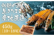 D090 活きあいおえび450g（10～18尾）