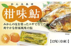 D096 冷凍柑味鮎