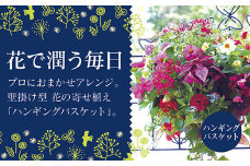 C053 花うるる おまかせハンギング 寄せ植え Ｍサイズ(完成品 鉢 鉢植え 壁掛け ハンギングバスケット 通販 プレゼント おしゃれ 珍しい 苗 玄関 屋外 フラワーギフト 誕生日 花苗 ギャザリング 冬 プランター ハンキング 花飾り 園芸 アレンジメント 春