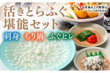 B029 とらふぐの刺身（33cmプラ皿）とふぐちりセット