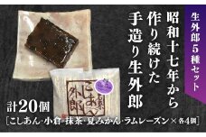 D180 ラムレーズン外郎を含む5種類の生外郎20個セット