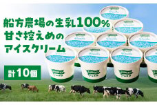 D363 船方農場のアイスクリームセット（10個入り）