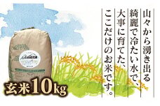 D353 しのめ清流米　玄米10㎏