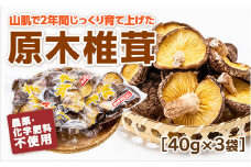 E049 山口徳地産原木栽培乾しいたけ40g×3袋