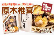 D190 山口徳地産原木栽培乾しいたけ120g