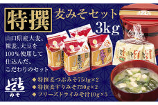 D124 とくぢ味噌特撰詰め合わせ3kg