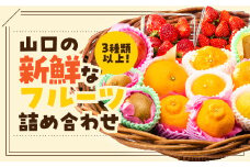  D239 ぶちうま！山口の新鮮フルーツBOX