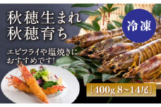 D238 秋穂産活き〆冷凍車海老（あいおえび）400g（8～14尾）【養殖】