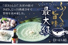 B050 とらふく三昧（3～4人前）