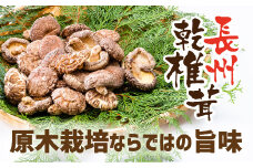 D346 長州乾椎茸ホール　73g×3袋