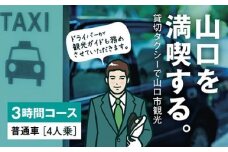 B093 観光タクシー・フリープラン《3時間コース》