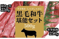 C050 黒毛和牛薄切り詰合500g