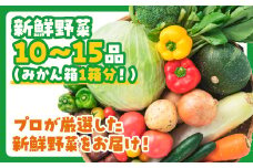 D196 ぶちうま！山口の新鮮お野菜BOX