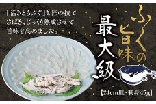 D183 とらふく刺身24cm皿（45g）