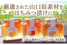 E012 はちみつ漬け3点セット