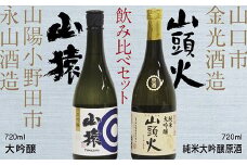 D389 【山口市・山陽小野田市共通返礼品】山頭火（純米大吟醸原酒）・山猿（大吟醸）飲み比べセット