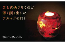 A004 零れ日-想いの生-