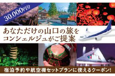 A055 山口オーダーメイド旅行プラン（30000円分）