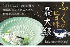 D232  とらふく刺身30cm皿（90g）