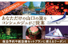A009 山口オーダーメイド旅行プラン（150000円分）